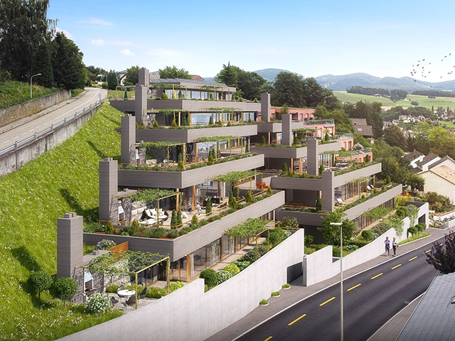 Laufen - Neubauprojekte Häuser Villen Schweiz Immobilienverkauf