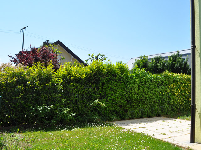 Gland Reihen-Mittelhaus 6.5 Zimmer