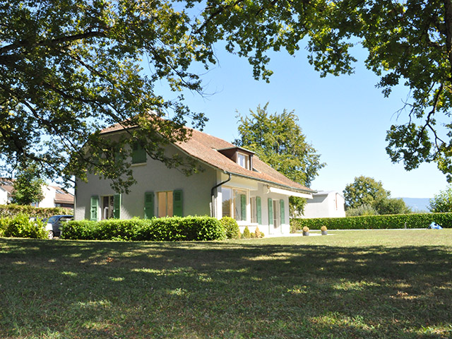 real estate - Versoix - Villa individuelle 7 rooms