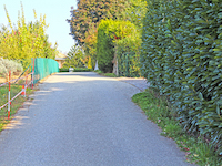 Saint-Prex TissoT Immobilier : Terrain  pi&egrave;ces