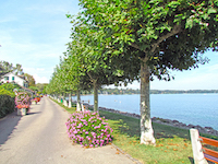 Agence immobili&egrave;re Saint-Prex - TissoT Immobilier : Terrain  pi&egrave;ces