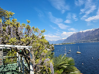 Wohnung 3.5 Zimmer Locarno