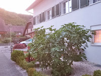 Vendre Acheter Hölstein - Villa mitoyenne 5.5 pi&egrave;ces
