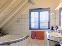 Vendre Acheter Aesch - Villa individuelle 5.5 pi&egrave;ces