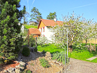 Blauen -             Einfamilienhaus 5.5 Zimmer