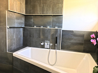 Vendre Acheter Zeiningen - Duplex 4.5 pi&egrave;ces
