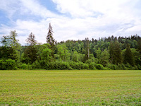 Bauernhaus 8.0 Zimmer Kollbrunn