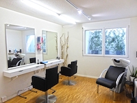 Vendre Acheter Erlinsbach - Maison 5.5 pi&egrave;ces