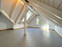 Lausen TissoT Immobilier : Immeuble 25.0 pi&egrave;ces