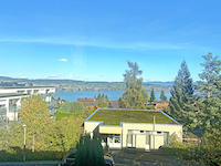 Wohnung 4.5 Zimmer Wädenswil