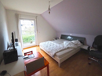 Villa 5.0 Zimmer Villigen