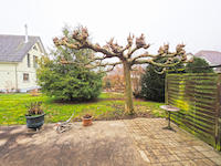 Haus 6.5 Zimmer Birr