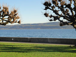 Photo3