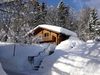 Gryon - Splendide Chalet 4.5 pi&egrave;ces - Vente immobili&egrave;re