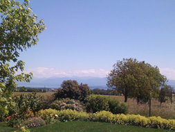 Photo3