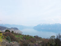 Einfamilienhaus Grandvaux TissoT Immobilien