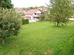 Photo3
