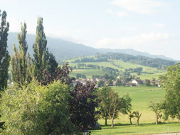 Photo3