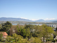 Region - Genève -  - TissoT Immobilien