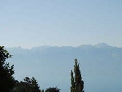 Photo3