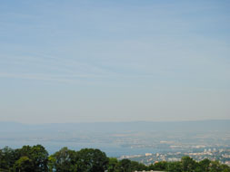 Photo3
