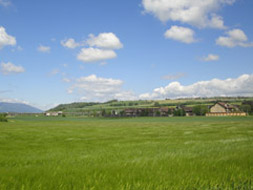 Photo3