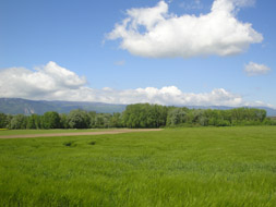 Photo3