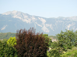 Photo3