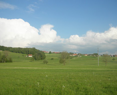 Photo3