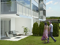 Photo3