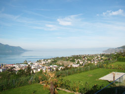 Photo3