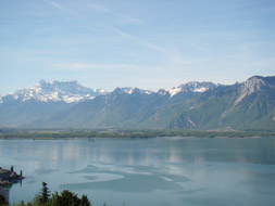 Photo3