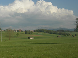 Photo3
