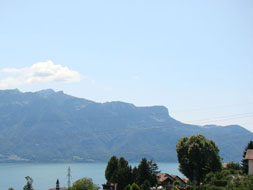 Photo3