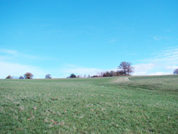 Photo3