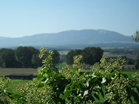 Vendre Acheter Bavois - Appartement 3.5 pi&egrave;ces