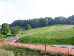 Photo3