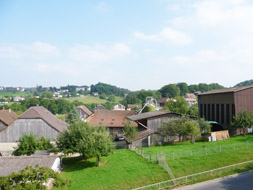 Photo3