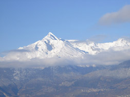 Photo3