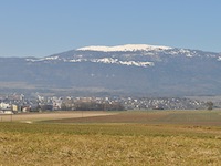 Vendre Acheter Chavornay - Appartement 5.5 pi&egrave;ces