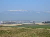 Agence immobili&egrave;re Chavornay - TissoT Immobilier : Appartement 5.5 pi&egrave;ces