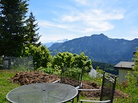 Wohnung Leysin TissoT Immobilien