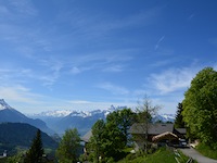 Wohnung 3.5 Zimmer Leysin
