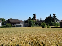 Champagne 1424 VD - Appartement 3.5 pi&egrave;ces - TissoT Immobilier