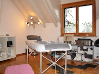 Vendre Acheter Blonay - Attique 5.5 pi&egrave;ces