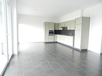 Villa Siviriez TissoT Immobilien