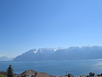 Agence immobili&egrave;re Chexbres - TissoT Immobilier : Villa jumelle 5.5 pi&egrave;ces