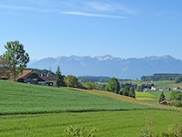Vendre Acheter Forel - Appartement 3.5 pi&egrave;ces