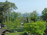 Cudrefin -             Mehrfamilienhaus 17.0 Zimmer