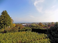 Tolochenaz TissoT Immobilier : Villa mitoyenne 9 pi&egrave;ces